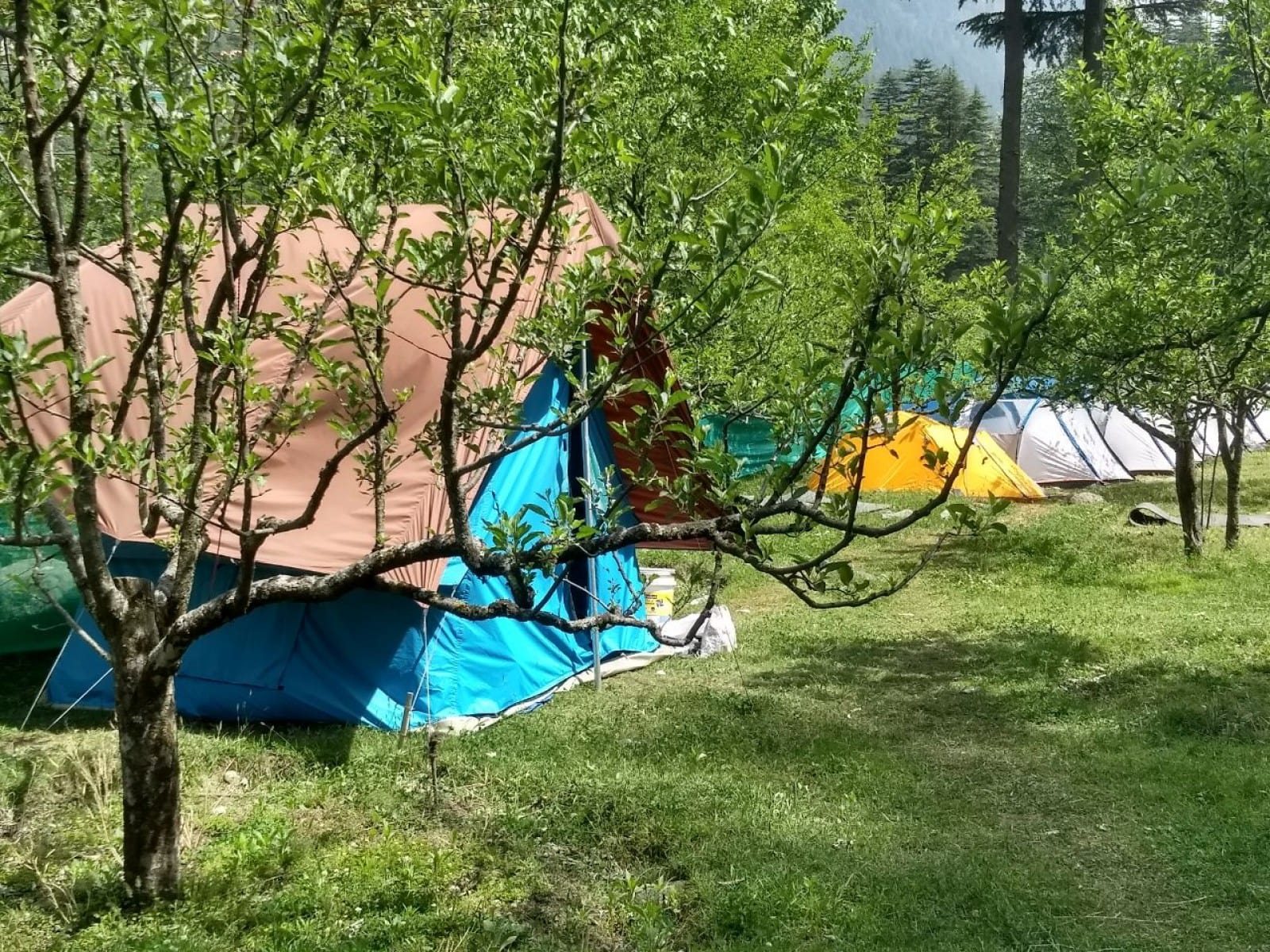 OSM Vacation