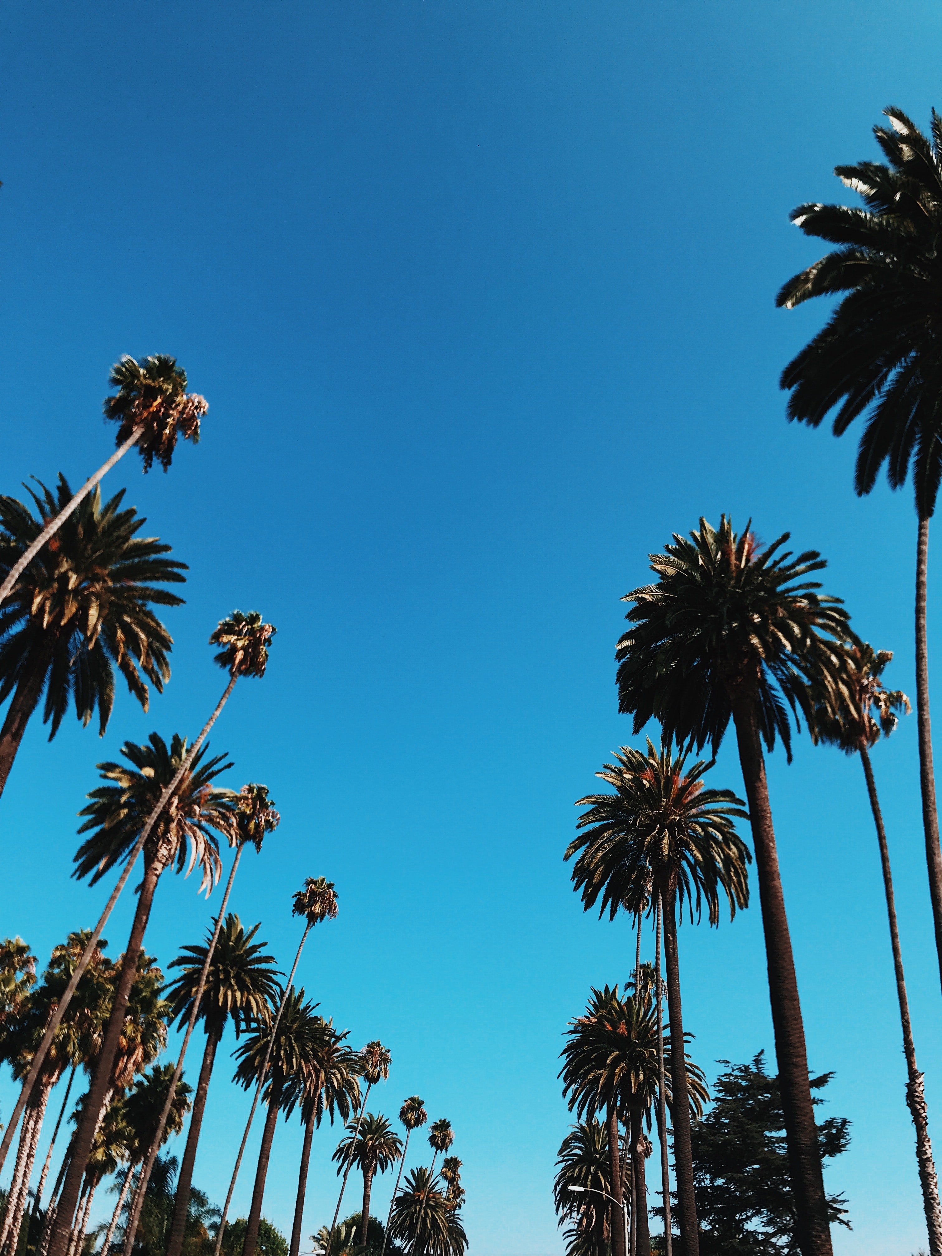 OSM Vacation